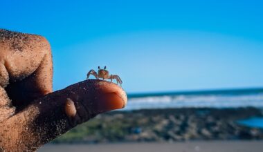 AI customers are coming around to the idea that small is beautiful