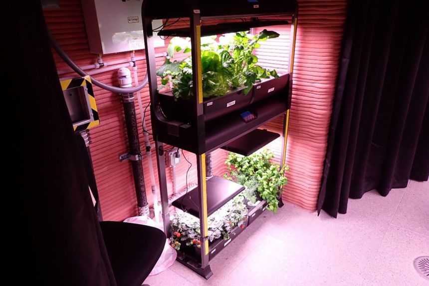 Crew members will have to grow their own crops and vegetation, similar to the CHAPEA Mission 1, pictured.