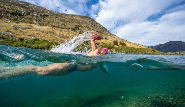 Jellyfish, sharks and big dreams: how I conquer oceans and summits - The Times