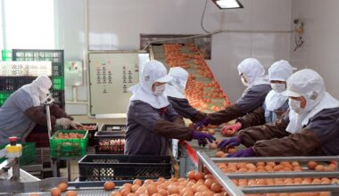 Soaring egg prices expose cracks in two-track China economy