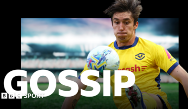 Hellas Verona's Kieron Bowie