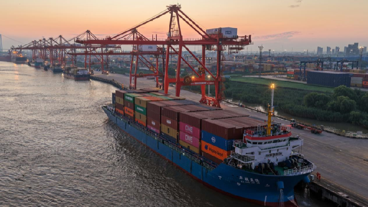 Massive-scale market activates China's growth momentum - news.cgtn.com