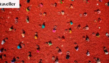 Aerial Photographer of the Year 2026 winners: Stunning images of birds, rowing and Namibia’s red dunes revealed
