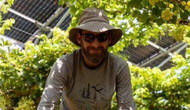 30 tons of grapes, one solar farm: Israel’s record harvest