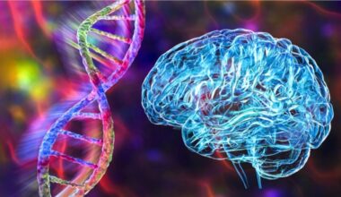 Schizophrenia And Bipolar Disorder Share 70% of Their Genetic Roots, Landmark Study Finds : ScienceAlert