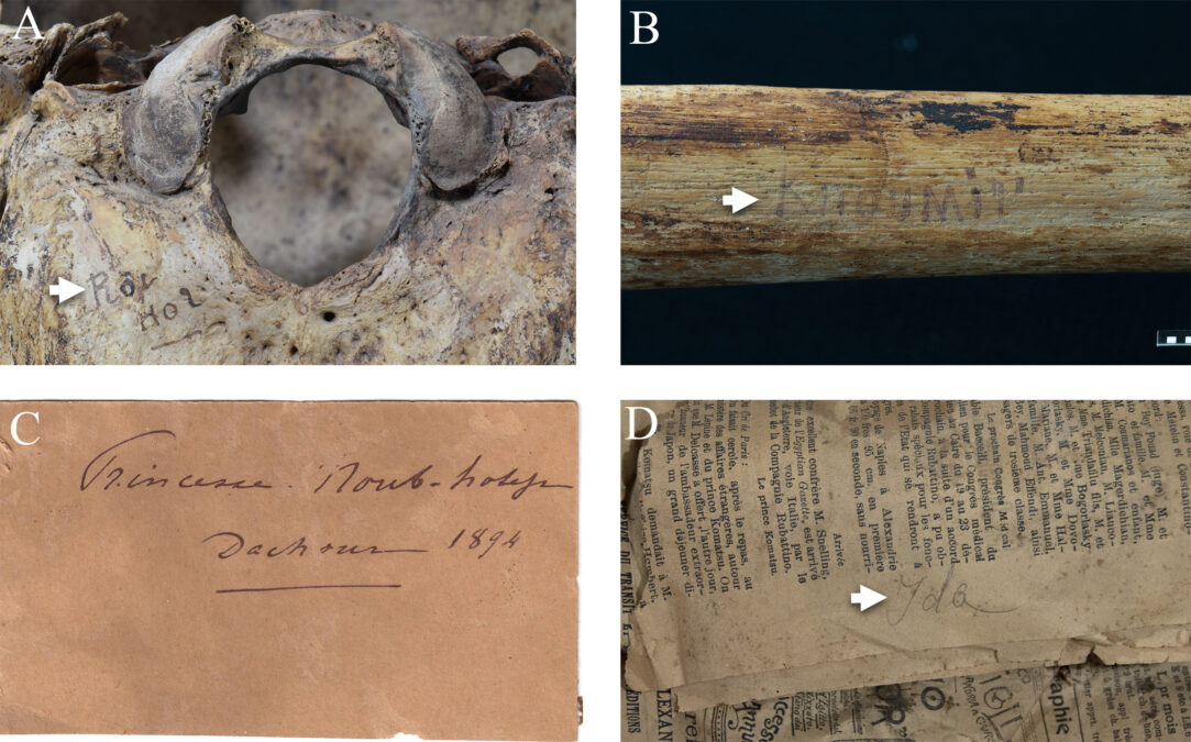 Ancient Egyptian Princesses Could Use The Weapons They Were Buried With – Their Bones And Injuries Are Proof