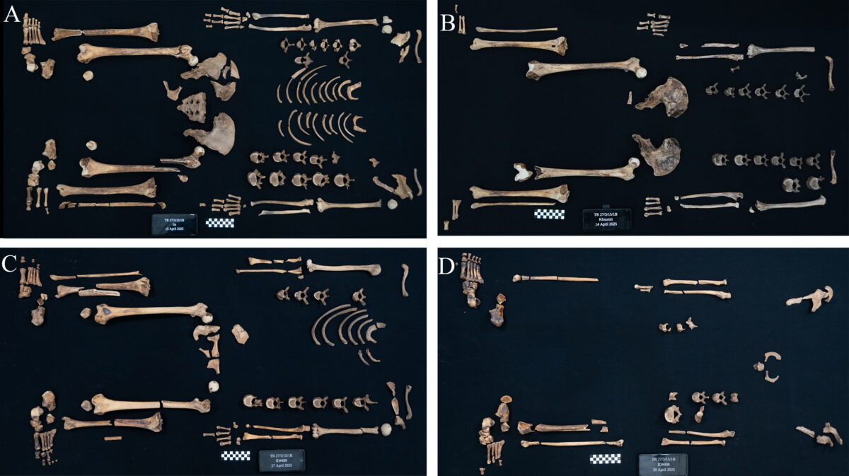 Ancient Egyptian Princesses Could Use The Weapons They Were Buried With – Their Bones And Injuries Are Proof