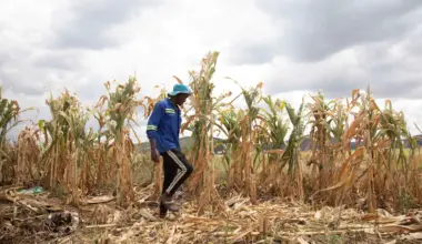 Super El Niño alone won’t trigger Africa rating downgrades, S&P says