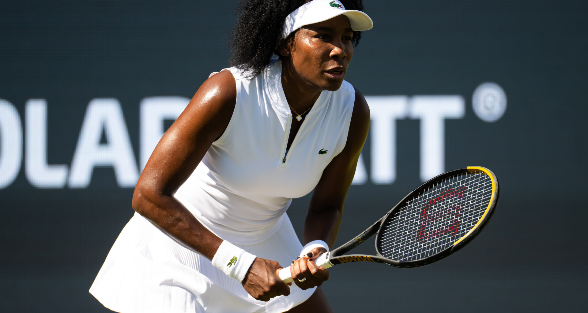Venus Williams to play DC Open, Toronto during Hard-Court Swing