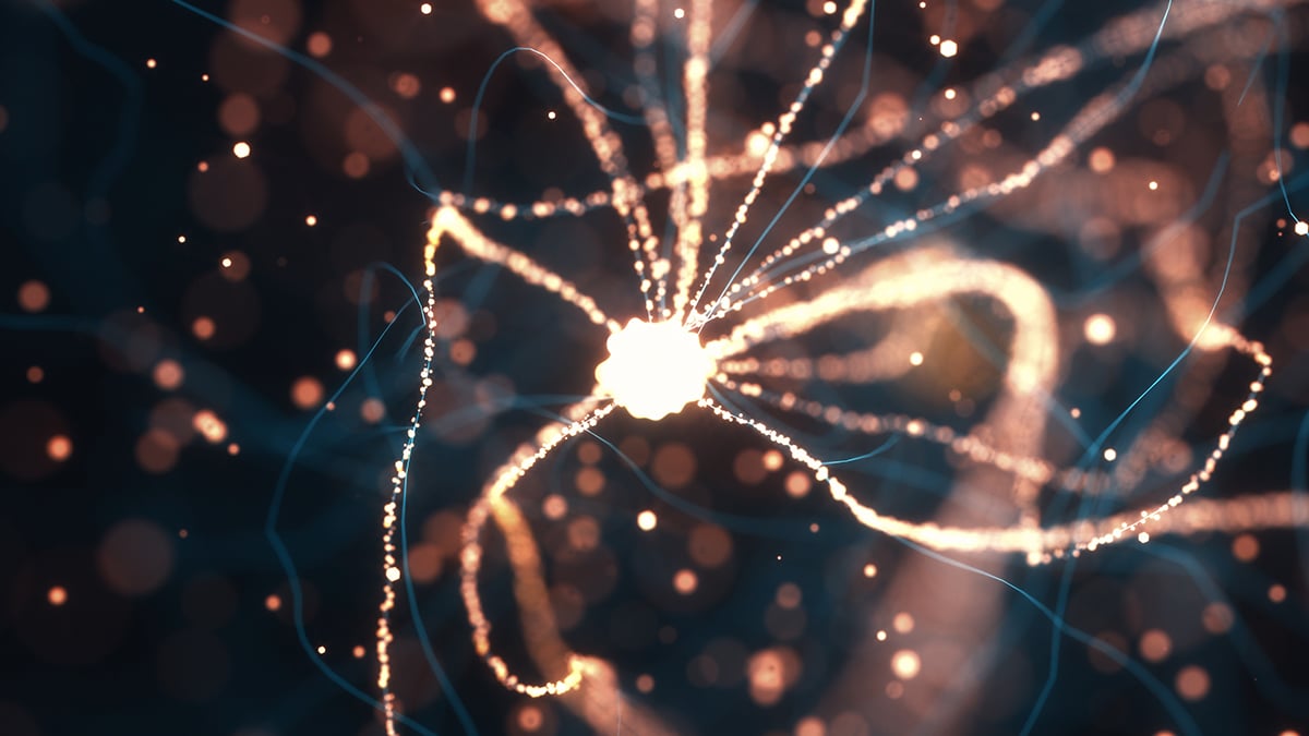 Scientists Think They've Finally Identified How Alzheimer's Kills Brain Cells : ScienceAlert