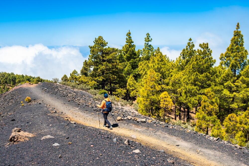 La Palma island, Spain (Photo: Pawel Kazmierczak / shutterstock) לה פלמה, ספרד