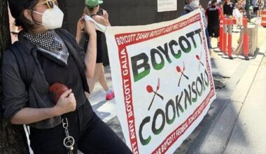 Pro-Palestinian activists targeted Israeli businesses. What happened next?