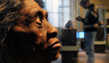 Ancient ‘hobbits’ feasted on Komodo dragons’ leftovers