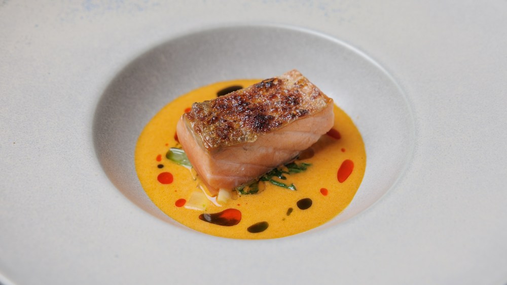 Salmon at Muje