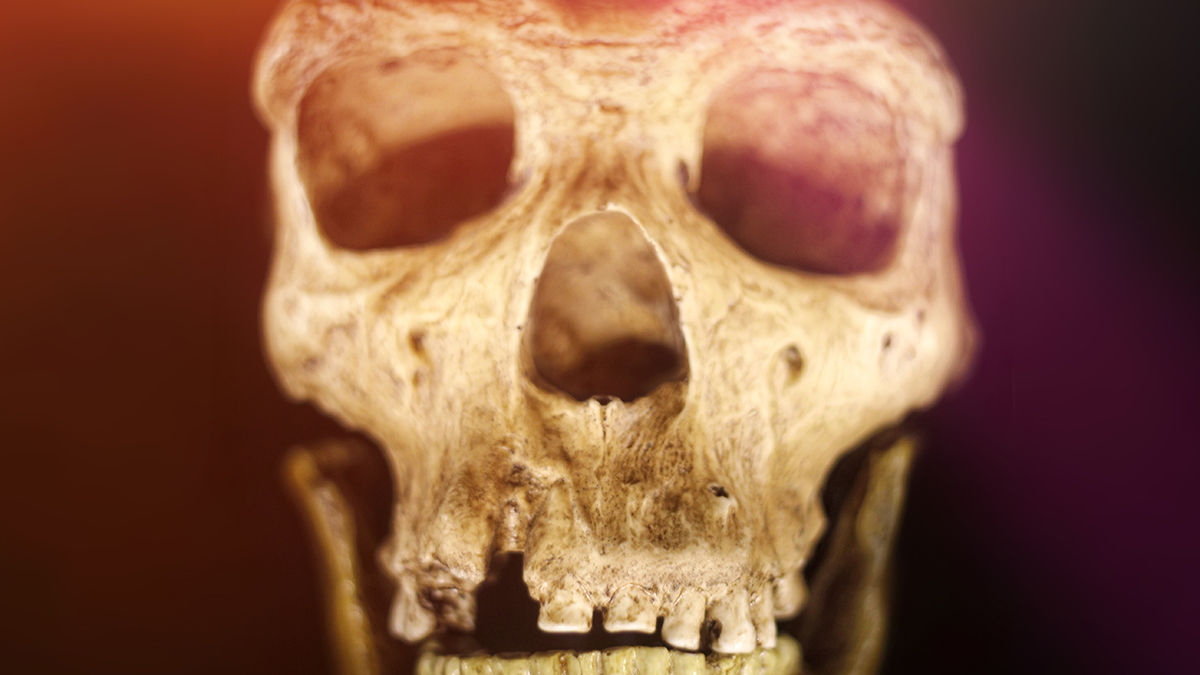 Humans And Neanderthals Shared a Culture For 20,000 Years, Cave Discovery Suggests : ScienceAlert