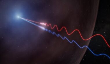 This illustration depicts Faraday rotation in the afterglow of a gamma-ray burst. A powerful jet (upper left) sends polarized radio waves outward through the thin wall of a surrounding bubble of magnetized gas called an HII region. As the light passes through this material, its polarization angle is twisted by the magnetic field. Because the effect is stronger at longer wavelengths, the red and blue waves, which represent different radio wavelengths, exit the bubble oscillating in different directions. By measuring this difference, astronomers were able to map the magnetic environment surrounding GRB 260310A for the first time. Credit: NSF/AUI/NSF NRAO/M.Weiss