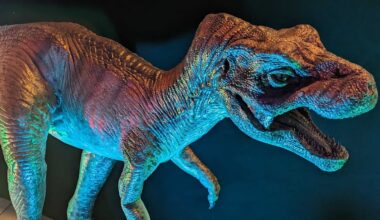 Neglected Museum Fossils Turn Out to Be The First T. Rex Hatchlings Ever Found : ScienceAlert