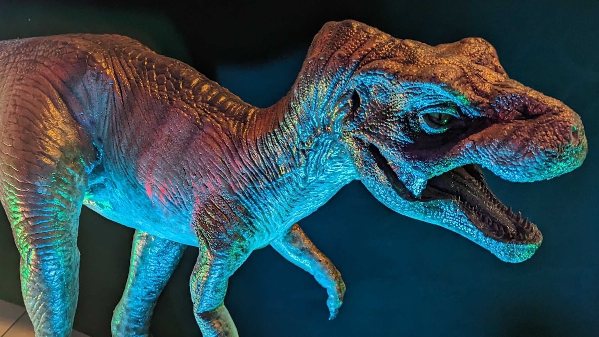 'Vanishingly Rare' Discovery: T. Rex Hatchlings Were Smaller Than a Cat And Born by The Dozen