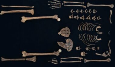 Analysis of Ancient Egyptian Princesses' Bones Reveals They Were Kind of Badass : ScienceAlert