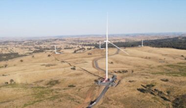 Australia’s largest onshore wind farm just revealed one site killed 20 wedge-tailed eagles in 18 months, its deadliest anywhere for the 9-foot-wingspan raptor, and the fix that works needs a permit first