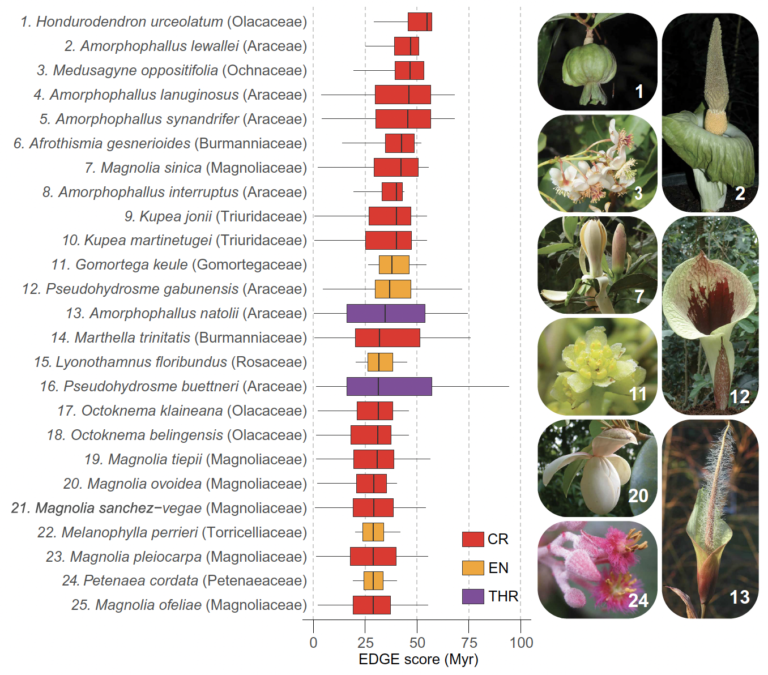 Scientists Studying Earth's Flowering Plants Issue a Stark Warning to Humanity