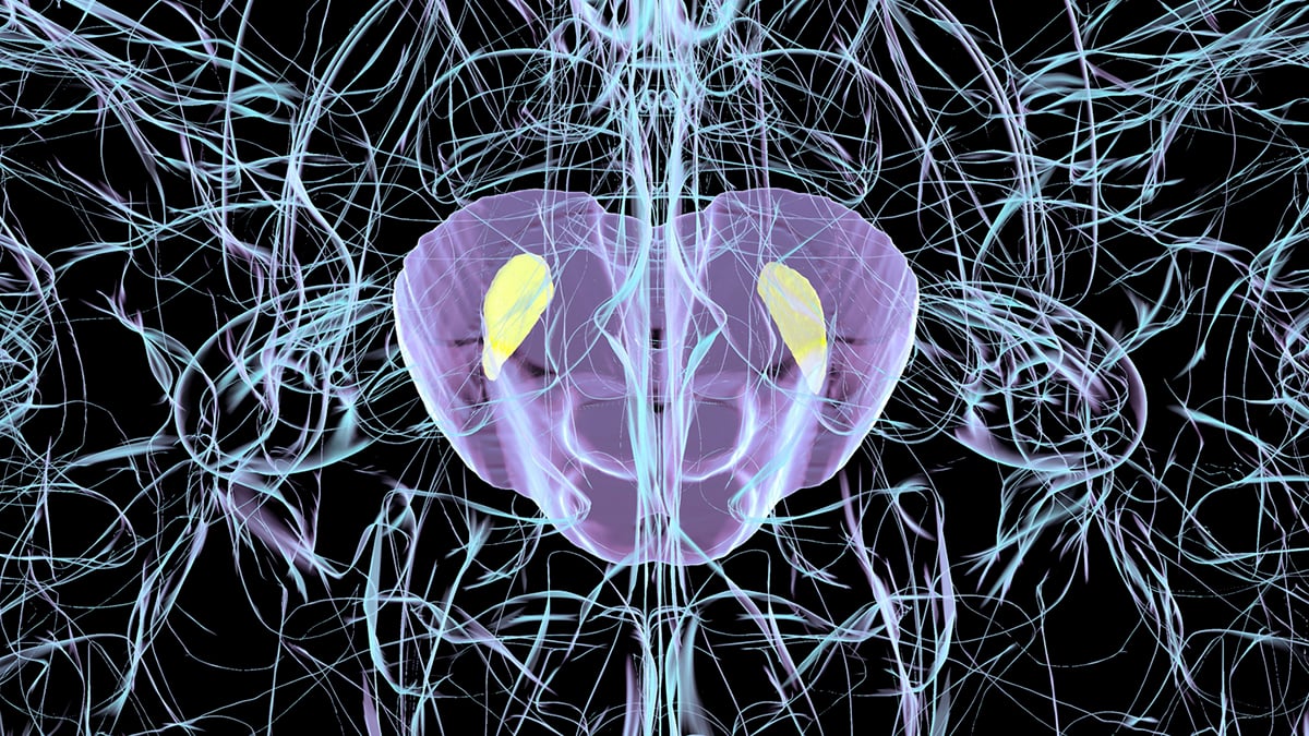 Common Virus Can Trigger Parkinson's-Like Brain Damage in Mice : ScienceAlert