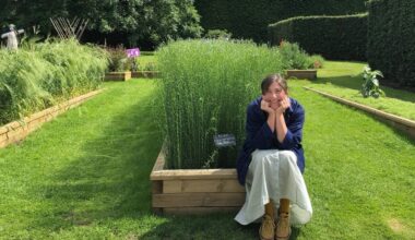 Remembering Christine Borland, John Will, and Astrid Furnival