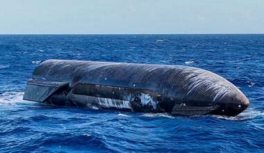 SpaceX Starship still floating 5 days after flight photo of the day for July 29, 2026