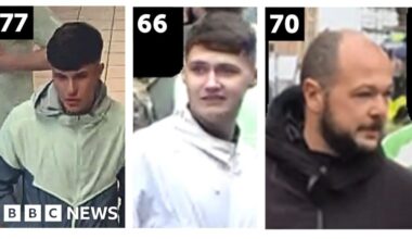 Third large-scale CCTV appeal over trouble at Celtic's Premiership title celebrations - BBC