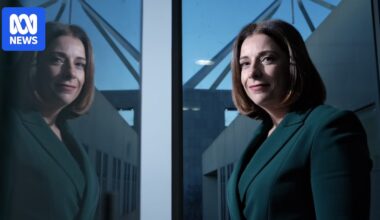 Influencers to be targeted in Albanese government's gambling advertising crackdown