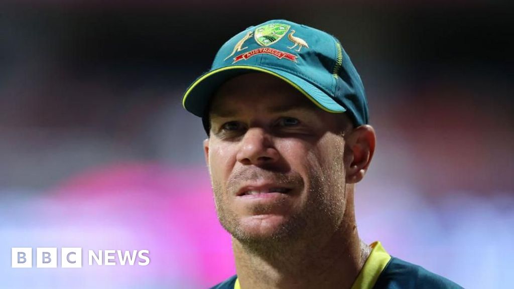 Australia cricket star David Warner pleads guilty to drink driving - BBC
