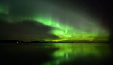 aurora