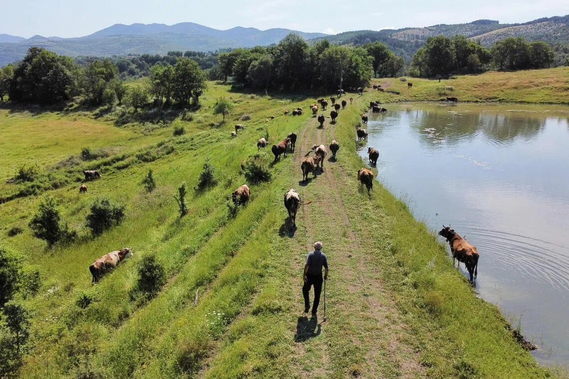 Dairy prices declined 1.5 per cent, pressured by increased supply.