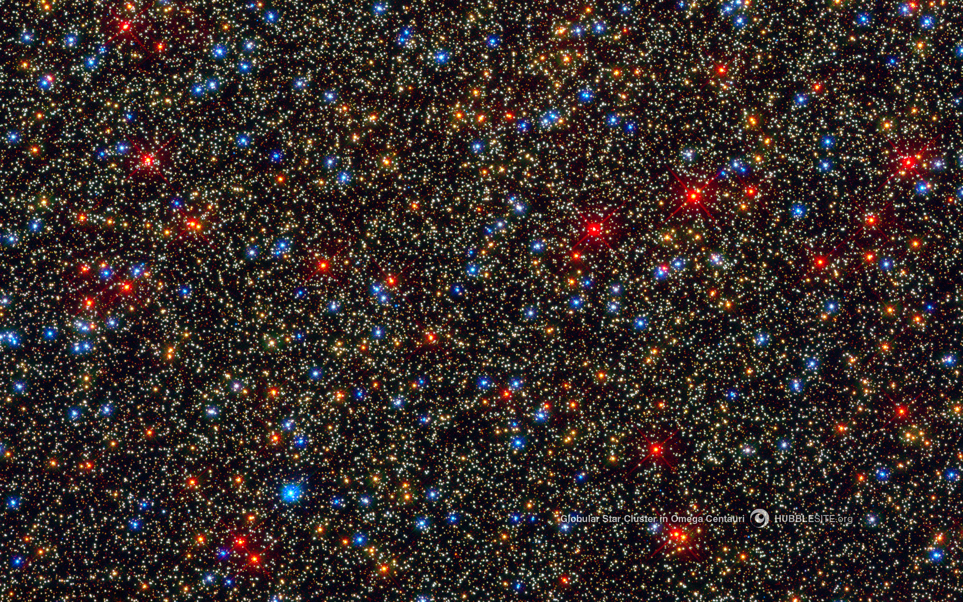 a dense field of multi-colored dots on a black background