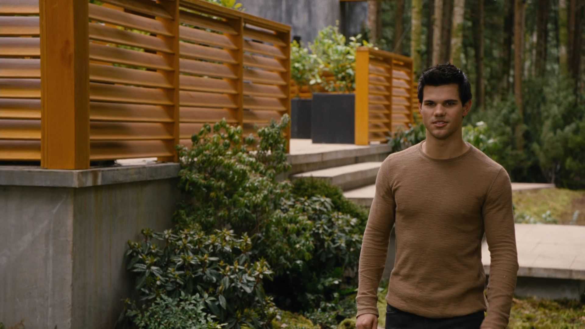 Breaking-Dawn-Part-2-Taylor-Lautner-Jacob-Black-Twilight