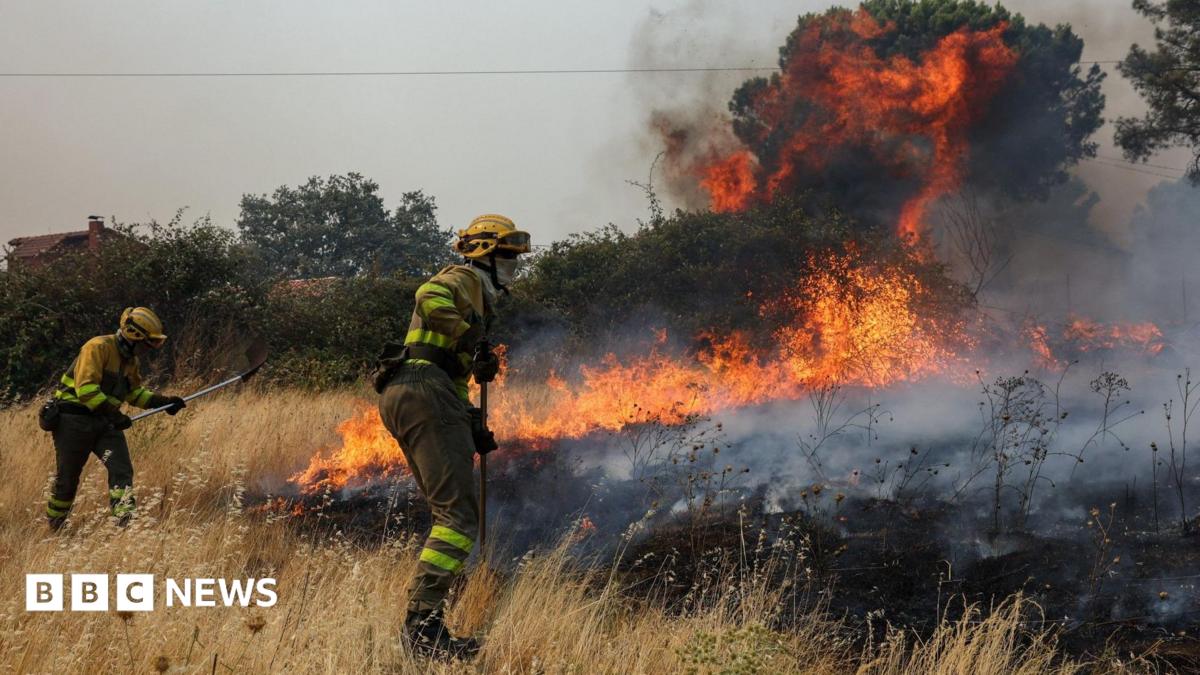 Europe wildfires latest: More than 65,000 evacuated across France and Spain
