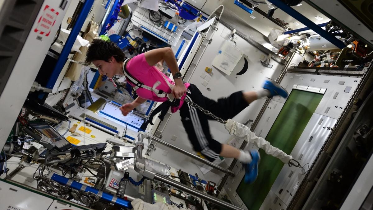 Spaceflight Seems to Damage Knee Cartilage, And Scientists May Have Found a Way to Protect It