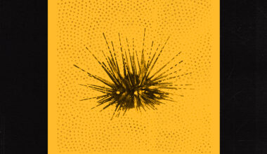 Stereogum home