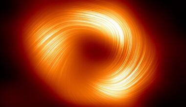 A view of the Sgr A* black hole (at the center of the Milky Way) in polarized light. Credit - EHT Collaboration