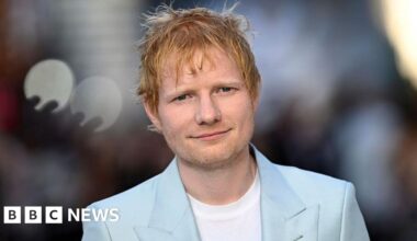 Ed Sheeran inspires government-backed 'music in libraries' scheme - BBC