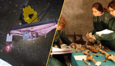 A telescope floats above Earth on the left, and three women inspect a skeleton on the right.