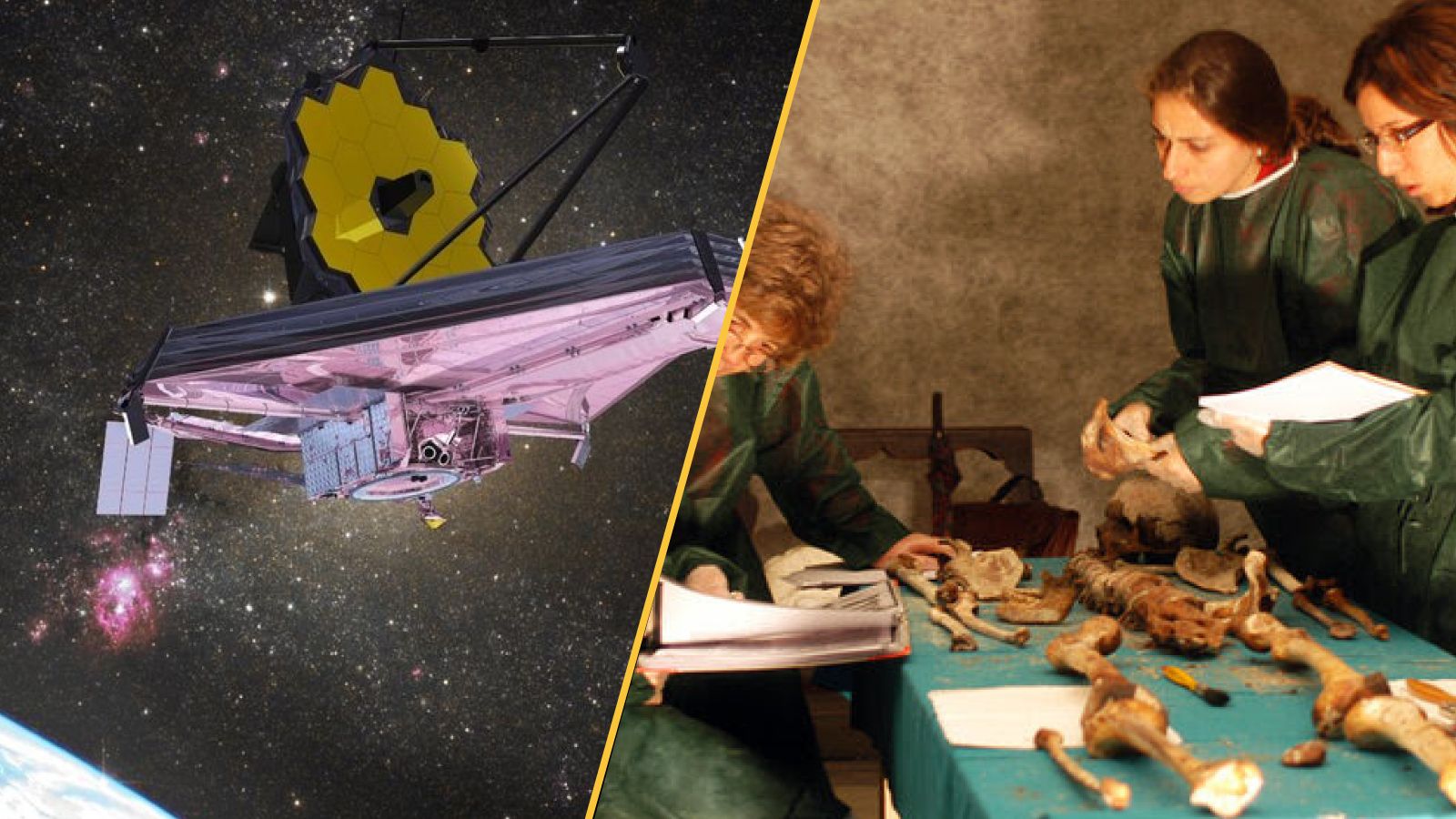 A telescope floats above Earth on the left, and three women inspect a skeleton on the right.