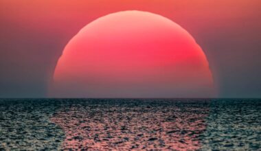 The world’s oceans are the hottest on record for June – and El Niño is set to turn up the heat even more
