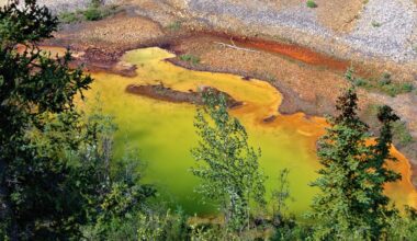 Rapidly thawing permafrost is acidifying streams across North America