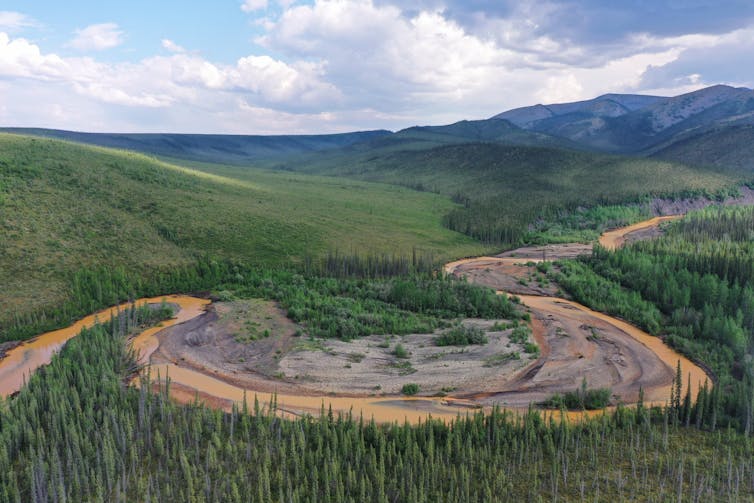 an orange coloured river snakes through a forested area of coniferous trees