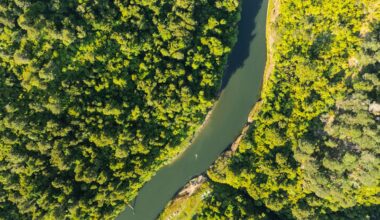 NZ’s overhaul of nature protection laws is a chance to move away from ‘fortress conservation’
