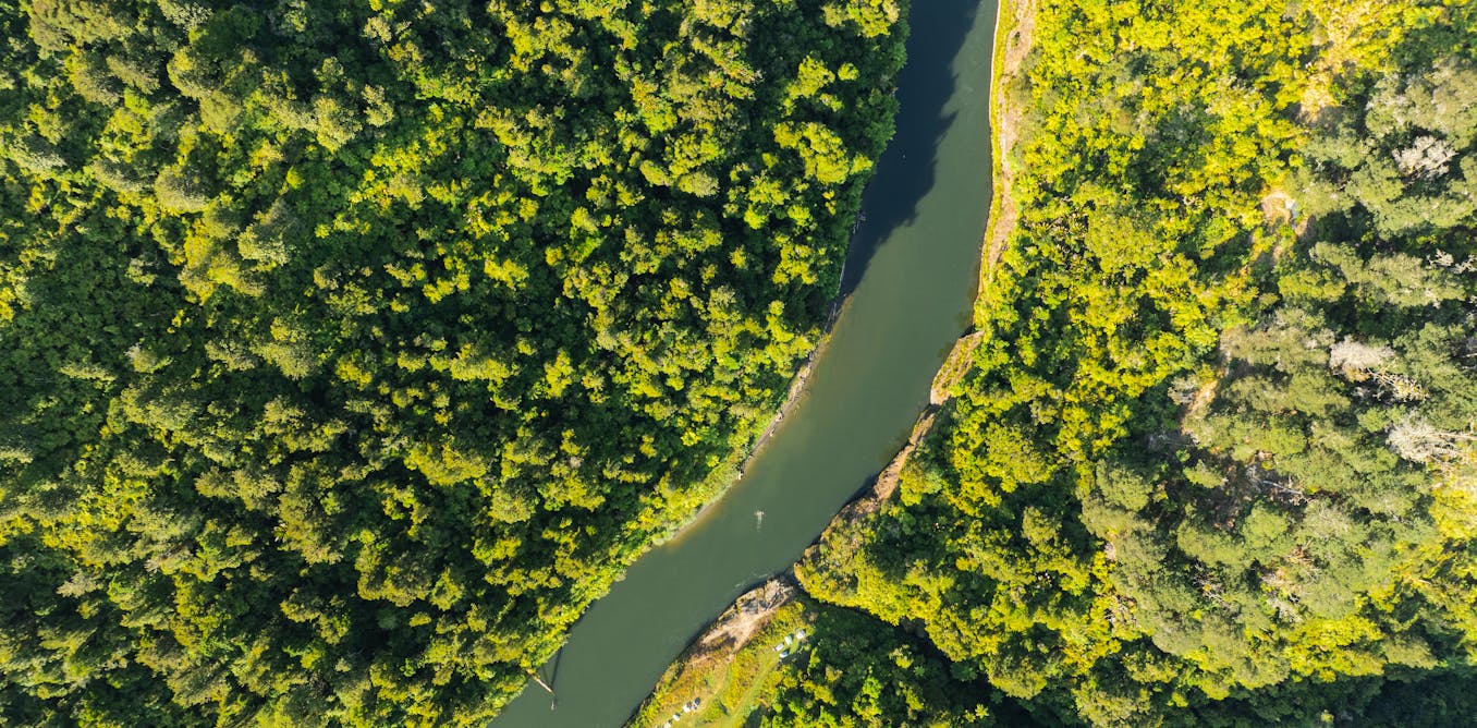 NZ’s overhaul of nature protection laws is a chance to move away from ‘fortress conservation’