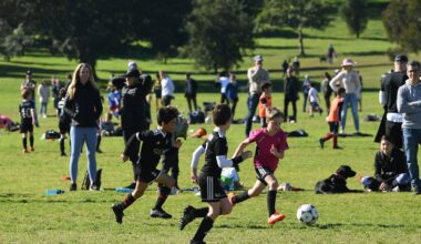 To turn the Socceroos into World Cup contenders, we need to start with the junior game