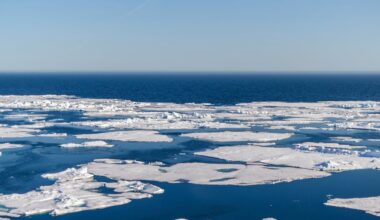 Arctic sea ice decline seemed to be slowing – until two record-breaking low-ice winters