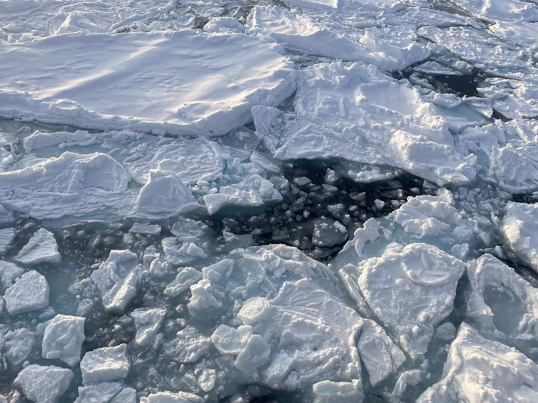 sea ice